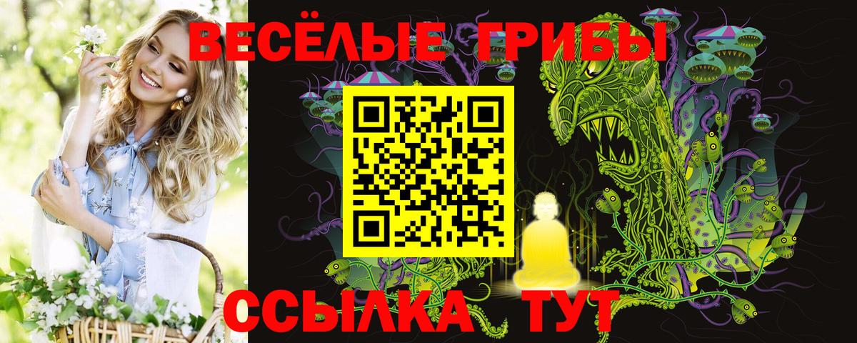 Мелеуз  Псилоцибиновые грибы Magic Shrooms  Вход с VPN 