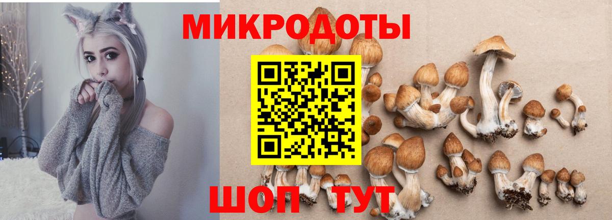Галлюциногенные грибы прущие грибы Мелеуз